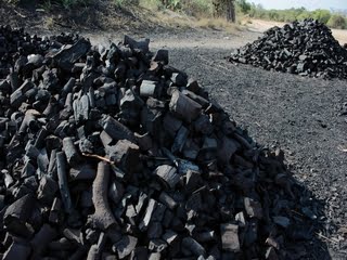 مجوز تولید زغال چینی